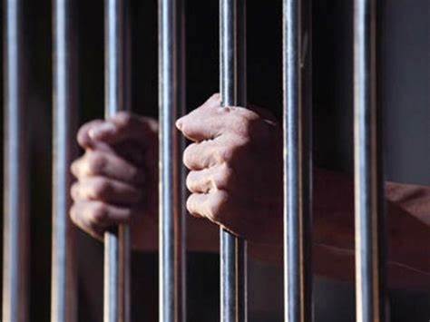 छथर गाउँपालिकाका एमालेका वडा अध्यक्षसहित ३ जना पक्राउ