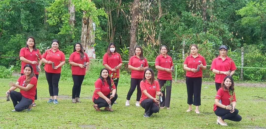 वातावरण दिवसमा विद्यार्थीले गरे वृक्षारोपण