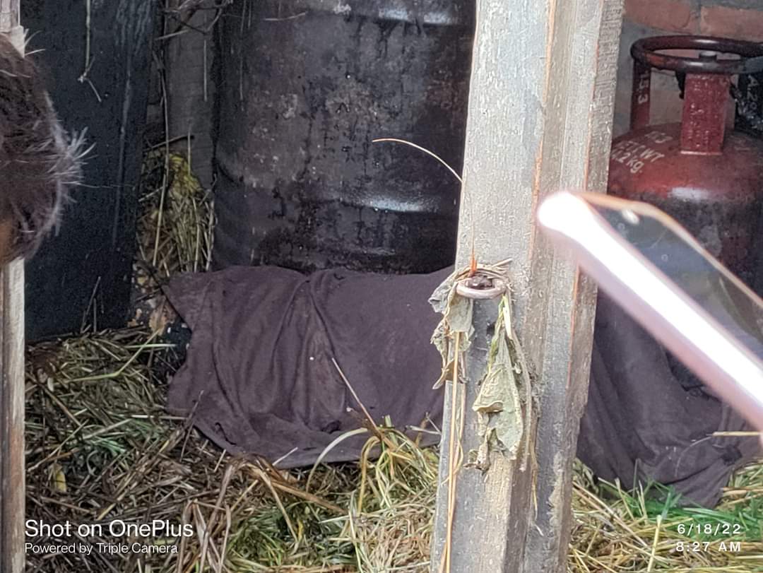 रौतहटमा ग्यास सिलिन्डर पड्केर एक जना वृद्धाको मृत्यु