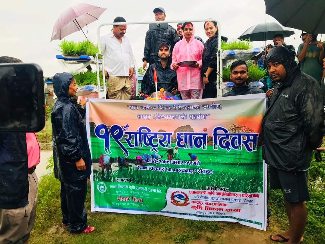प्रधानमन्त्री कृषि आधुनिकिकरण परियाेजना राैतहटले १९औँ राष्ट्रिय धान दिवस तथा रोपाइँ महोत्सव मनायाे