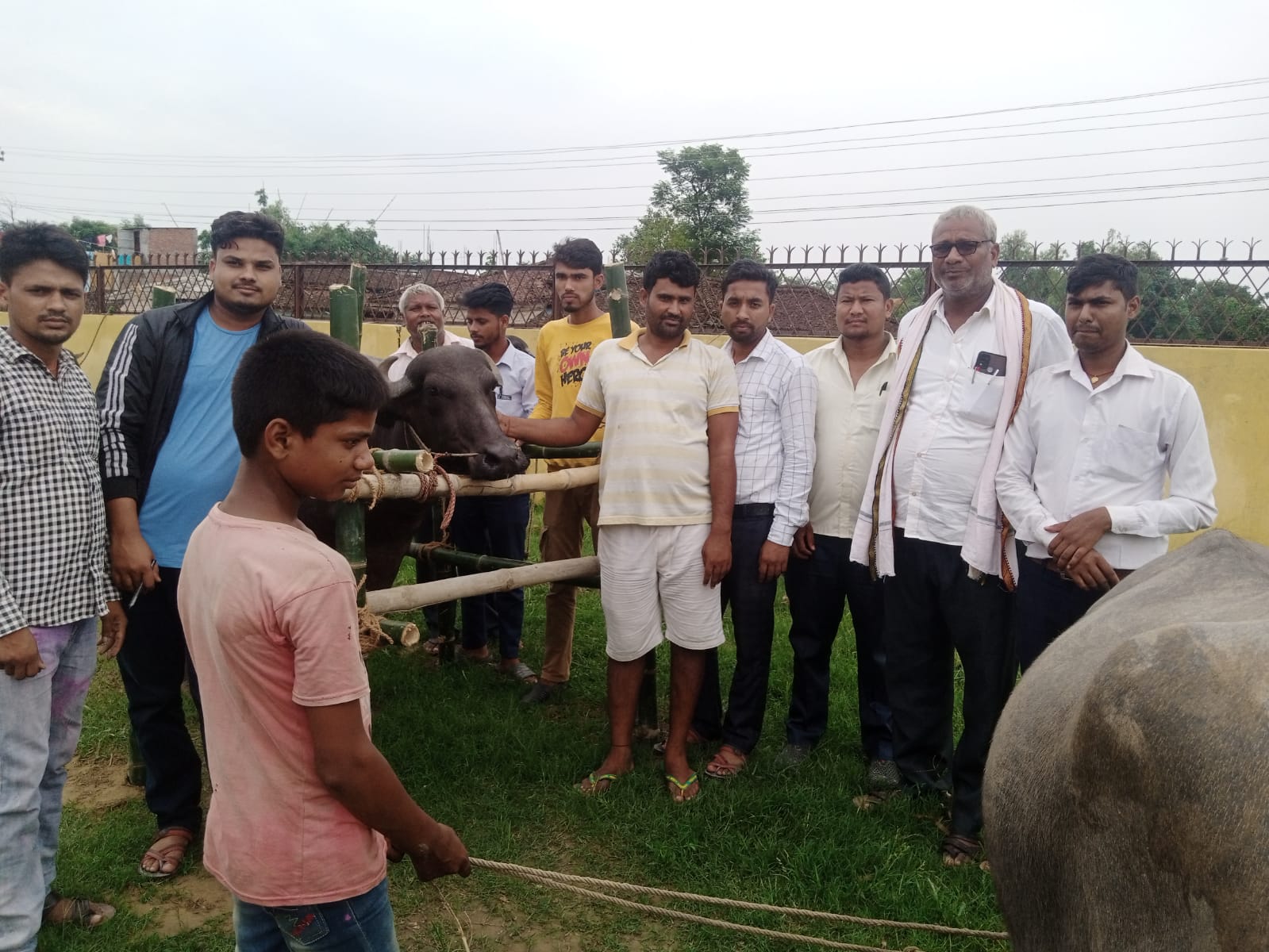 कटहरियाकाे भषेढवामा नि:शुल्क पशुहरूकाे स्वास्थ्य शिबिर सुरु