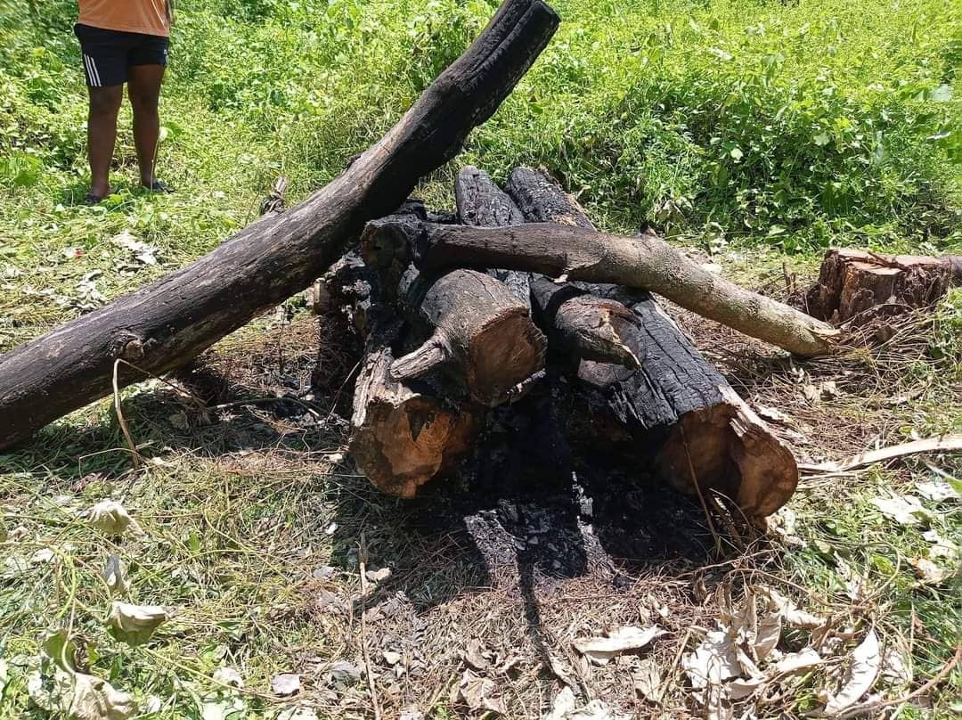 जल्दै गरेको शव प्रहरी नियन्त्रणमा