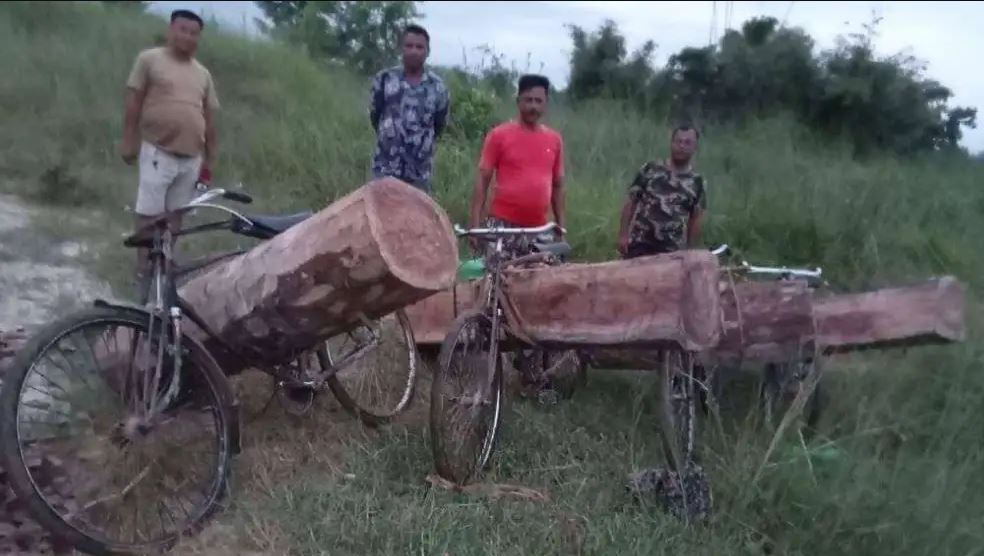 पर्सागढीबाट ४ थान सालको काचो काठ बरामद