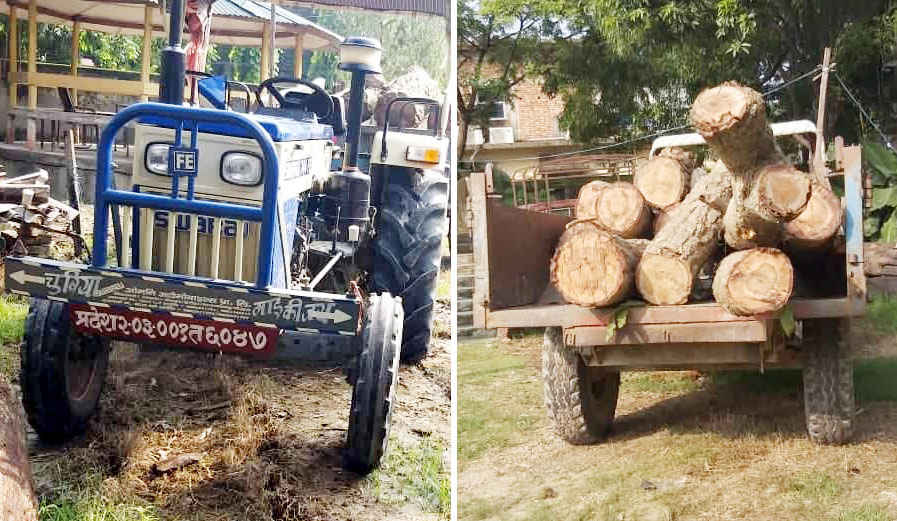 पर्साको पटेर्वासुगौलीमा ट्रैक्टर सहित १२ थान काचो शालको गोलीया बरामद तस्कर फरार