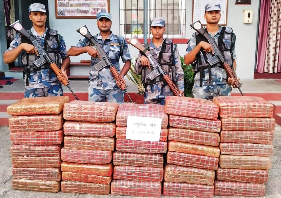 वीरगञ्जमा बोर्डिङ स्कुलको पछाडिबाट २ सय ४० किलो गाँजा बरामद