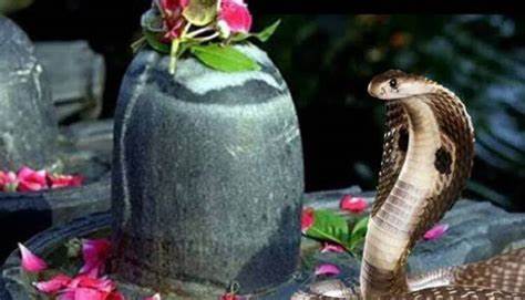 आज नागको पूजा अर्चना गरी नागपञ्जमी मनाइँदै