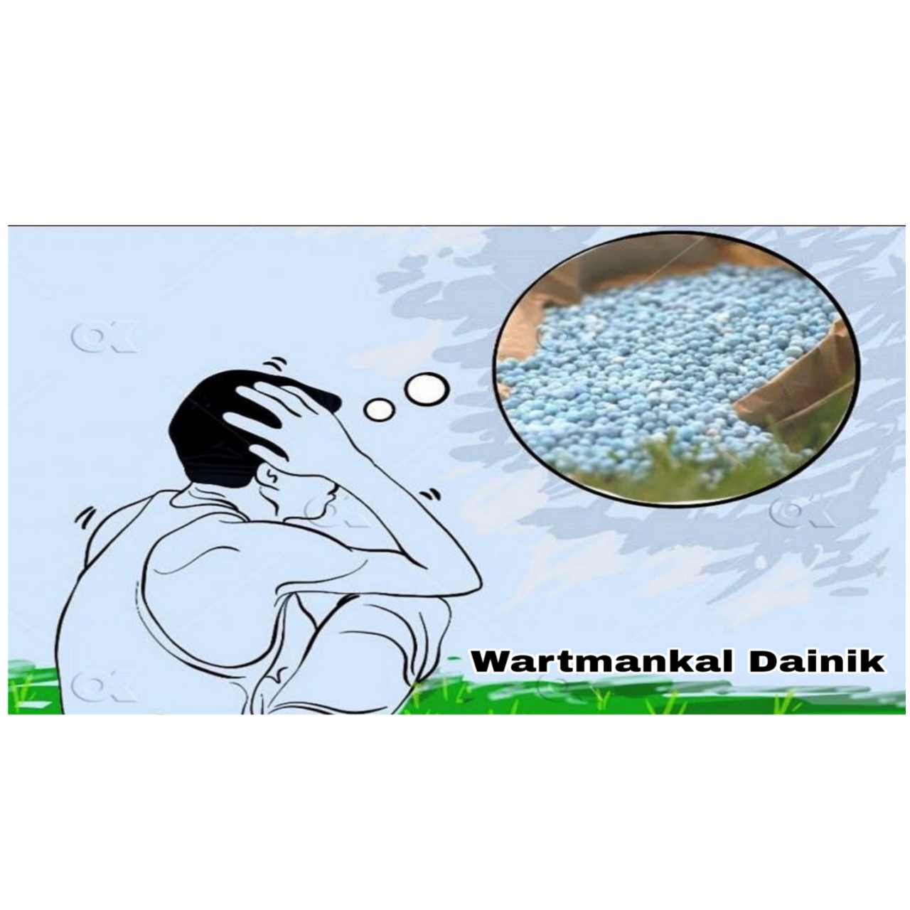 रौतहटमा गहुँ खेतीका लागि रासायनिक मलको अभाव, उत्पादन घट्ने किसान चिन्तामा