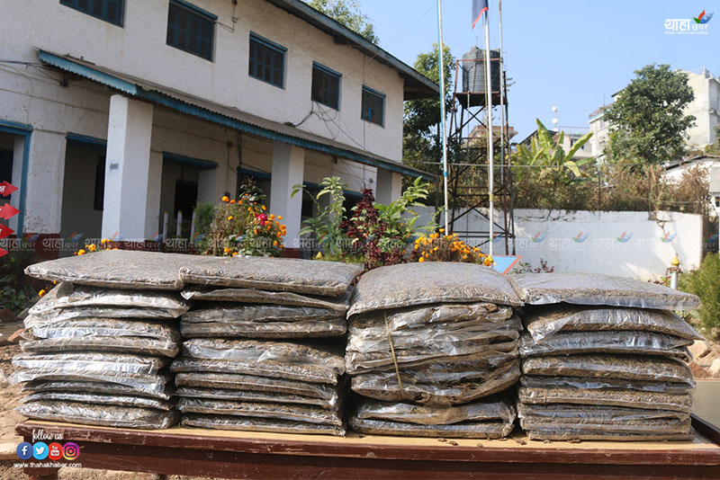 प्रदेश १ मा तरकारी बोक्ने गाडीमा गाँजा बरामद