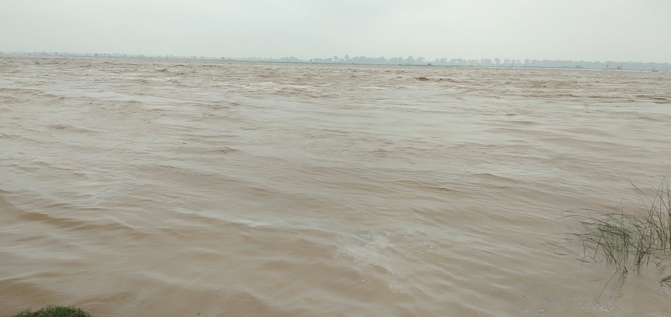 बागमती नदीमा जलसतहको खतरा तह पार, सर्तक रहन आग्रह