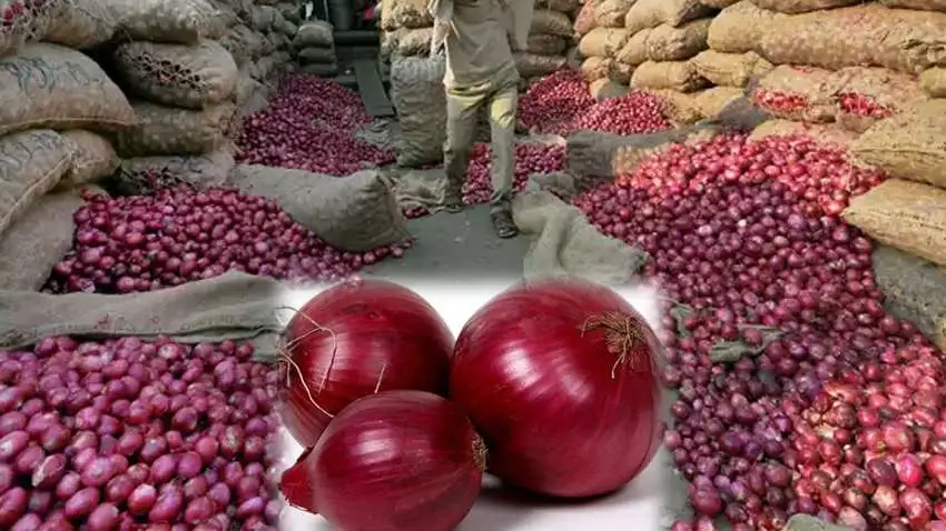 ४० प्रतिशत निर्यात कर बढाइदिँदा,भारतीय प्याज नेपालमा महँगिने