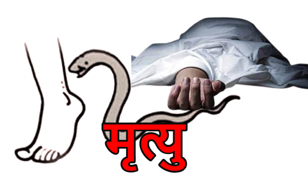 सर्लाहीमा सर्पले डस्दा बालकको मृत्यु