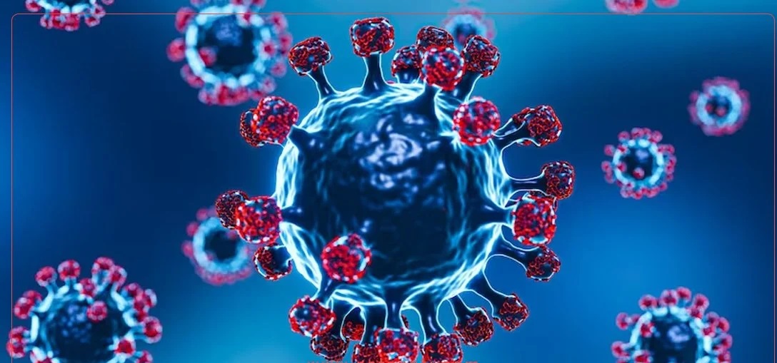 भारतबाट फर्किएकामा कोरोना सङ्क्रमण देखिन थाल्यो