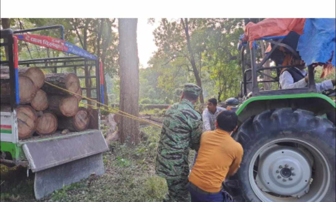 रौतहटमा पिकअप भ्यान सहित २ जना काठ तस्कर पक्राउ