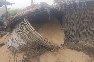 रौतहटमा जंगली हात्तीको आतंकबाट मानव बस्ती त्रसित