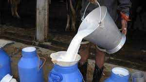 रौतहटका किसानले  महिनौ देखी उधारोमा दूध बेच्दै