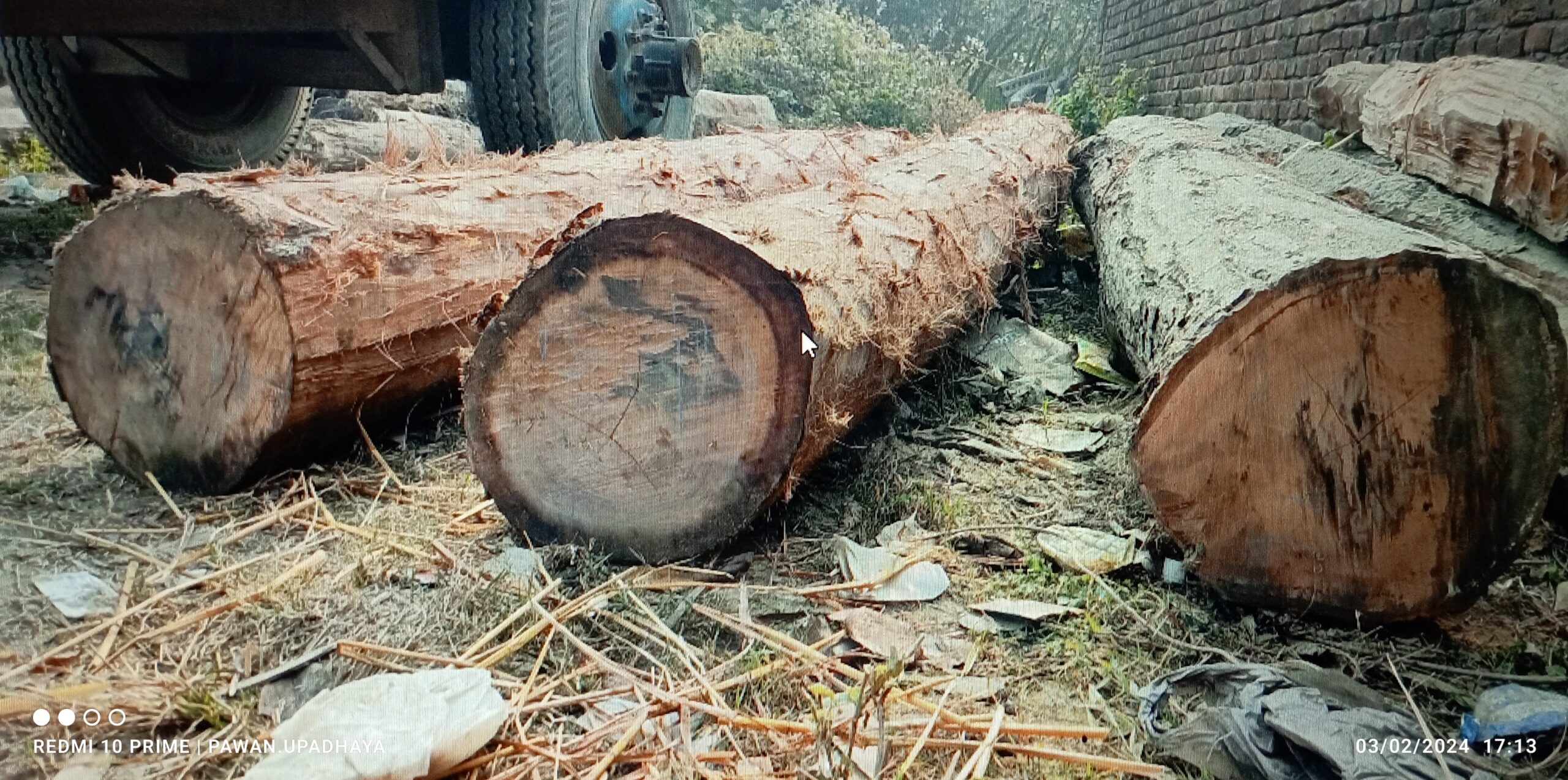 रौतहटमा काठसहित एक जना पक्राउ