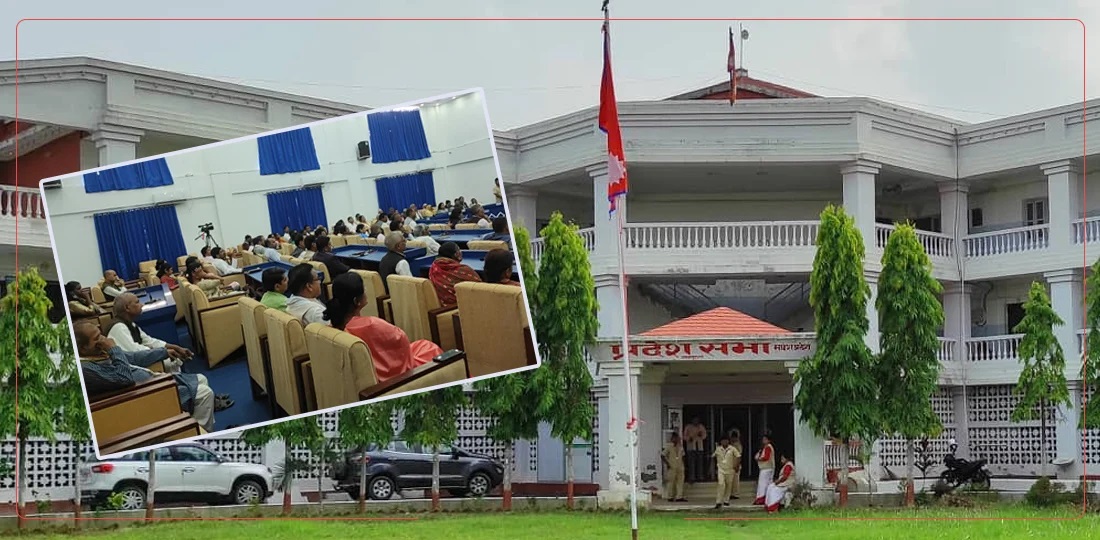 मधेस प्रदेशसभाका पदाधिकारी तथा सदस्यहरुलाई १३ प्रकारका सुविधा