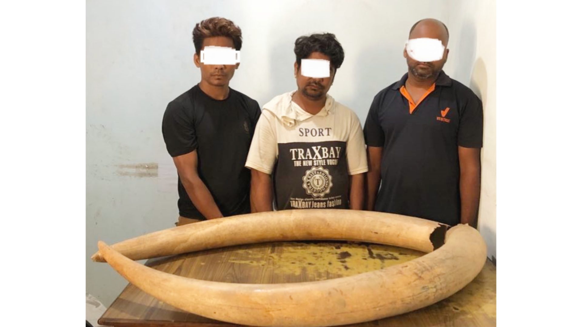 जंगली हातीको दुई वटा दारासहित तीन जना पर्सा प्रहरीको नियन्त्रमा