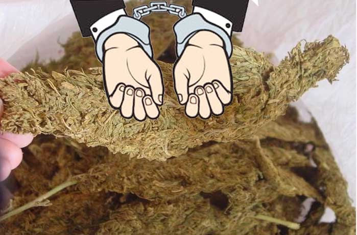 अमलेखगन्जबाट ठुलो परिणाममा अवैध लागु औषध गाँजासहित एक जना भारतीय पक्राउ