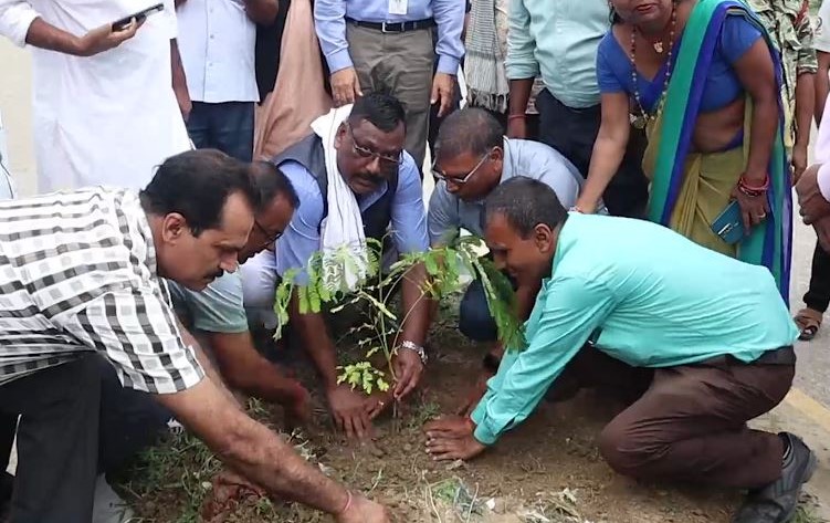 मधेशका ८ वटै जिल्लामा ६५ लाख बिरुवा रोप्ने लक्ष्य