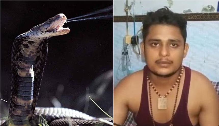 किन एउटा सर्पले एकजनालाई ७ पटक डस्यो, के सर्पमा स्मरणशक्ति हुन्छ ?