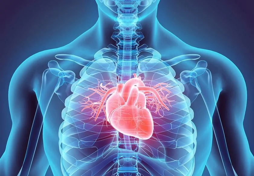 मुटुरोगको जोखिम