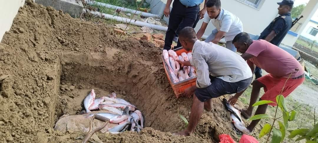 रौतहट प्रहरीद्धारा २ सय किलो अबैध भारतिय माछा नष्ट