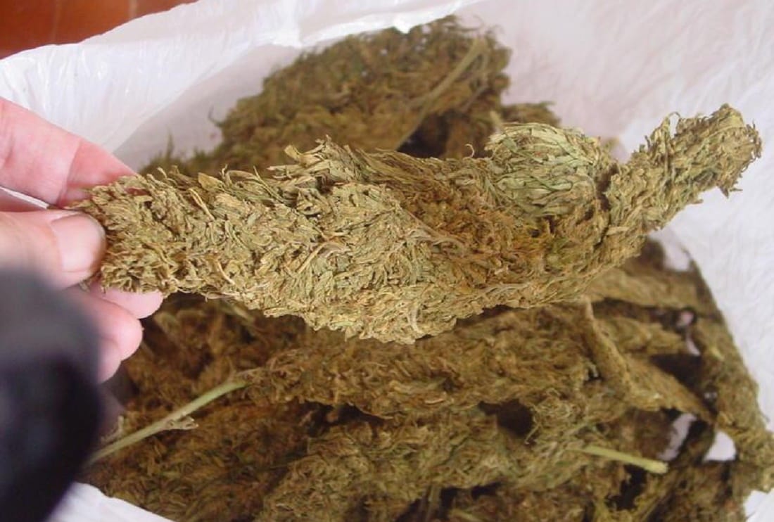 रौतहटको बाल्चनपुरबाट अबैध १६ किलो गांजा बरामद