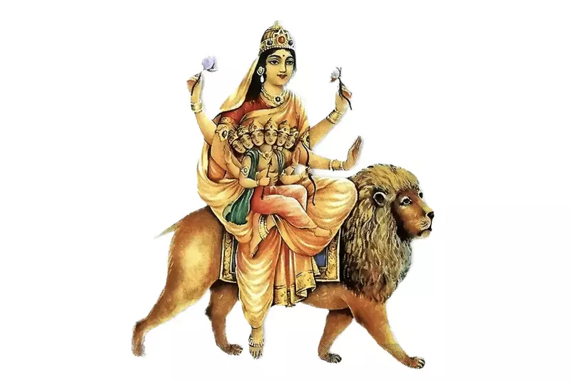 मंगलबार छैटो दिन स्कन्दमाताको पूजा आराधना गरि मनाईदैं