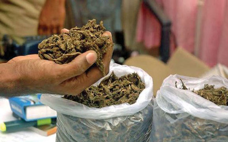 मलंगवामा साढे ७ किलो गाँजा सहित एक जना पक्राउ