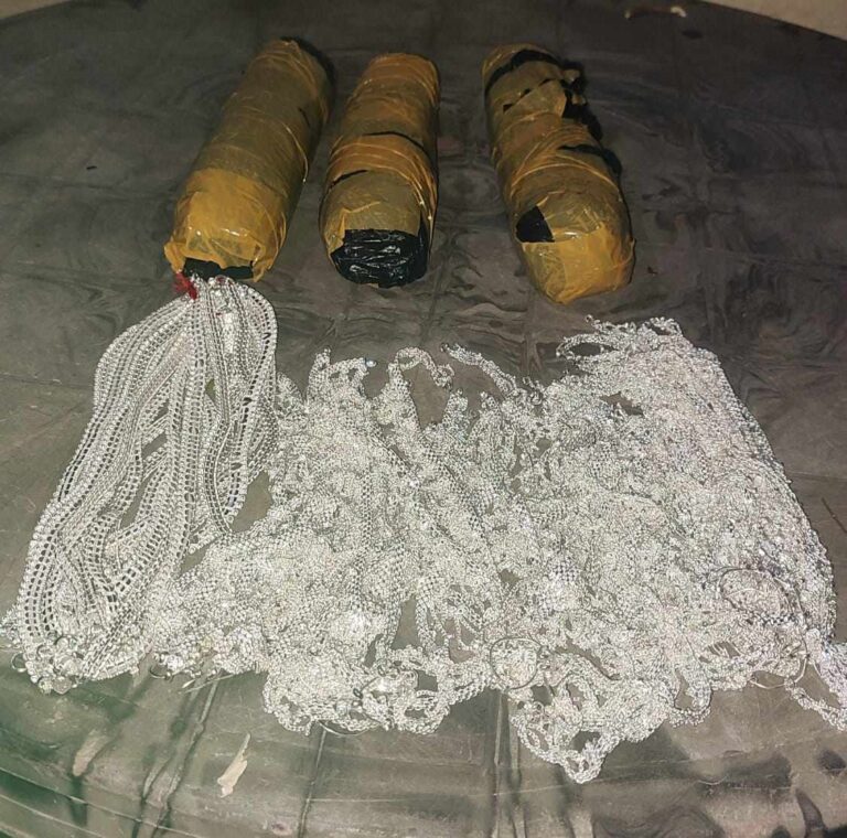 १२ किलोभन्दा बढी चाँदीसहित एकजना पक्राउ