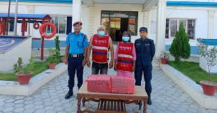 महोत्तरीमा २० किलो गाँजासहित दुईजना पक्राउ