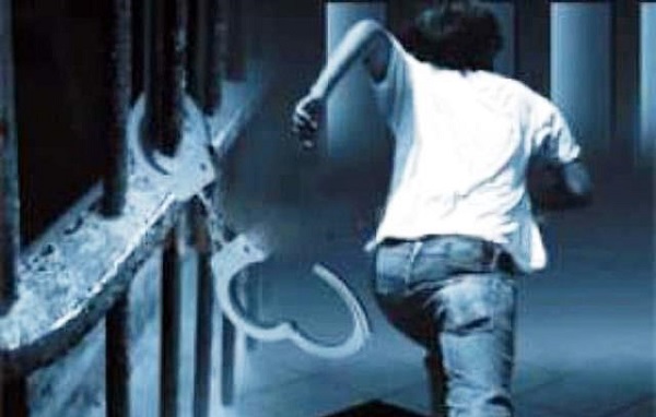 सशस्त्र प्रहरीले वीरगञ्जबाट बरामद गर्‍यो ४३ किलोभन्दा बढी गाँजा