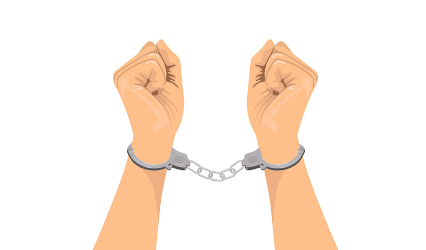 नेपाल-भारत सीमा क्षेत्रबाट चिनियाँ नागरिक पक्राउ