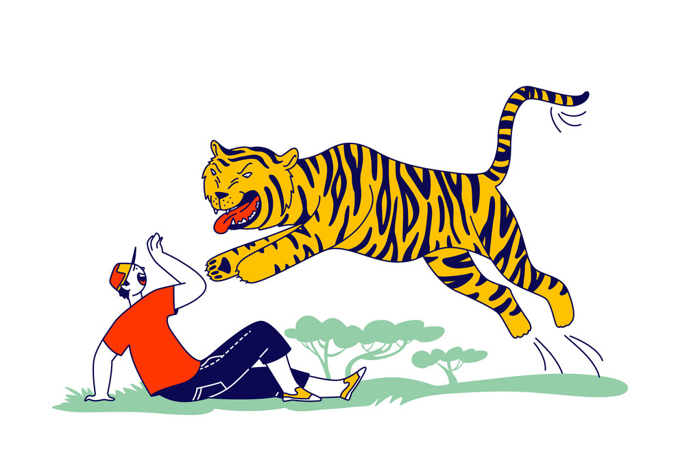 बाख्रा चराउन गएका एक जना गोठालाको बाघको आक्रमणबाट मृत्यु