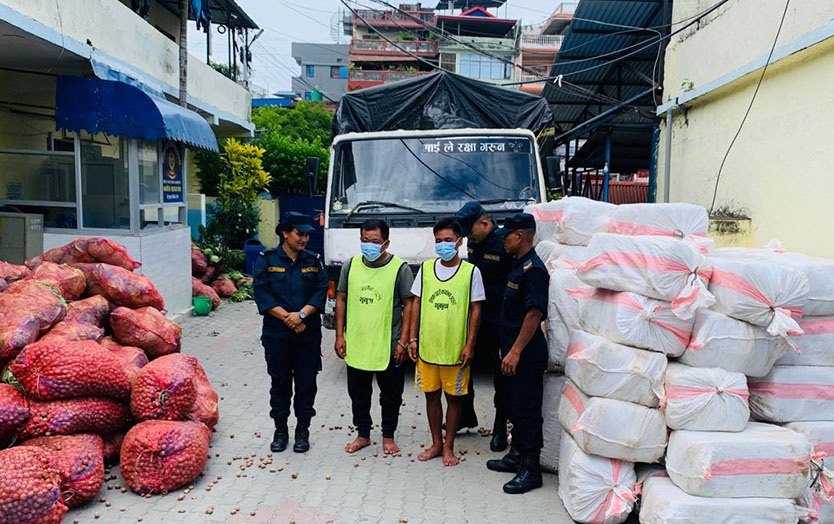 तरकारी लोड गरेको ट्रकबाट ४२ सय किलो गाँजासहित ३ जना पक्राउ