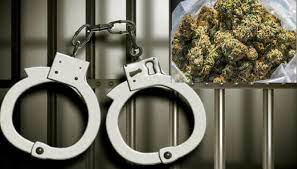 बाराबाट लागूऔषध गाँजासहित एक जना पक्राउ