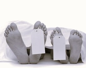 त्रिशूली नदीमा २ जनाको शव फेला