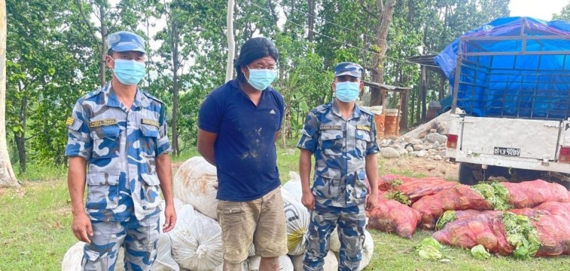 उदयपुरमा साढे चार क्वीन्टल गाँजा र गाडीसहित एक जना पक्राउ