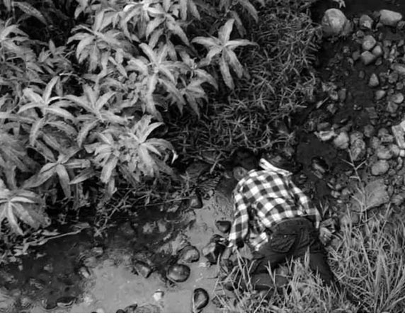 धनुषामा एक युवकको शव फेला