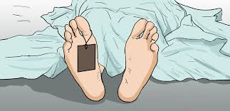 भ्यानको ठक्करबाट एक महिलाको मृत्यु