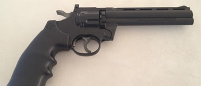 लागुऔषध र चाइनिज पेस्तोलसहित २ युवक पक्राउ