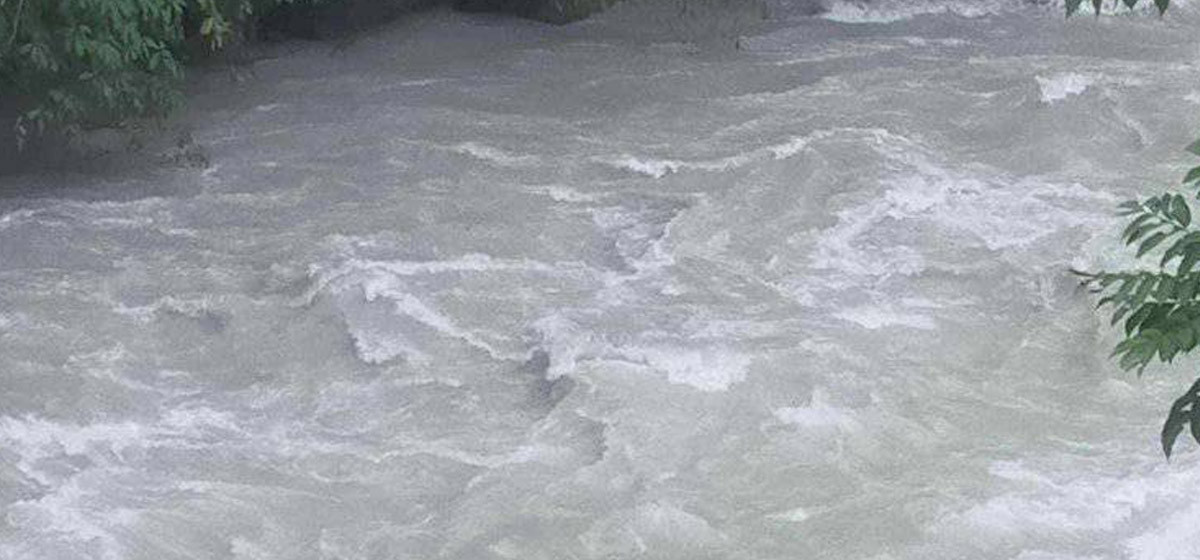 कुकुर बचाउन खोज्दा एक युवक सुनकोशी नदीमा बेपत्ता