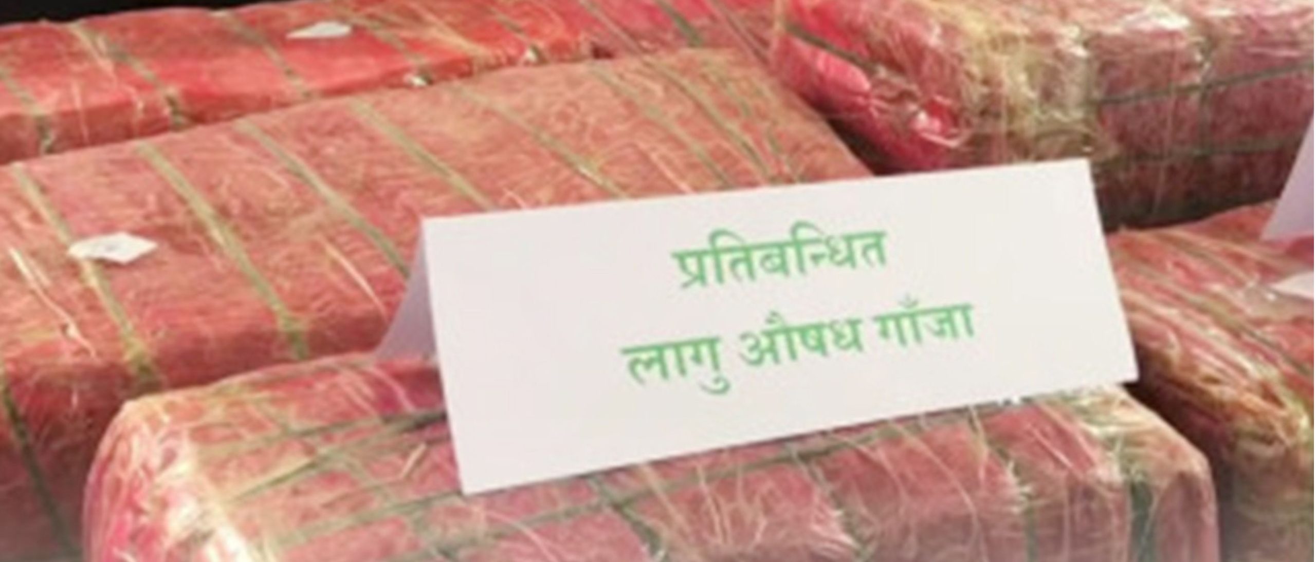 महोत्तरीमा ४ सय ७१ केजी गाँजासहित एक जना पक्राउ