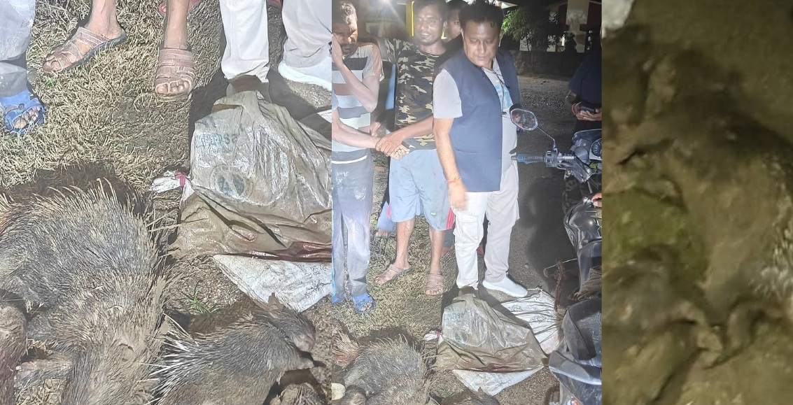 जंगलमा दुम्सीको शिकार गर्ने ४ शिकारी पक्राउ