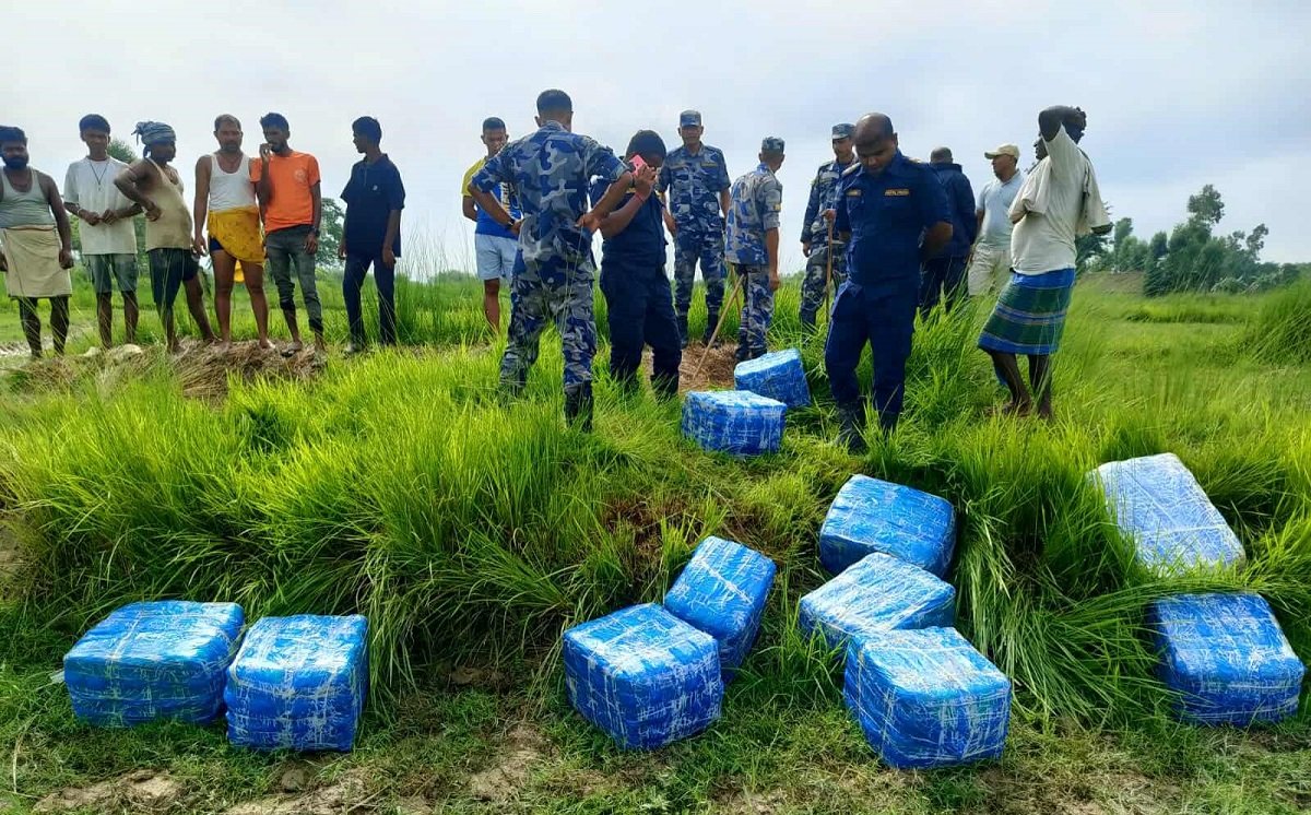 सप्तरीको महादेवाबाट करिब ४ सय किलो गाँजा बरामद