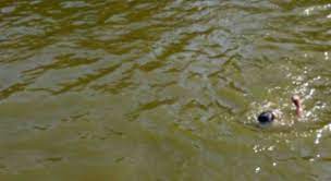 विभिन्न स्थानमा डुबेर ३ जना बालबालिकाको मृत्यु 