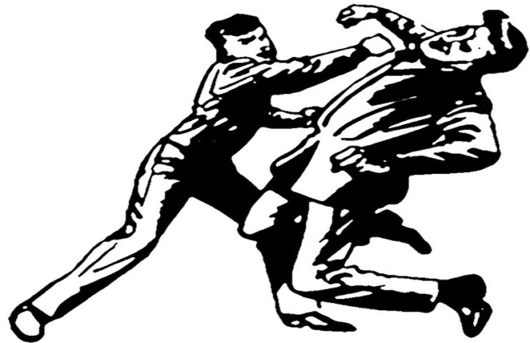 मितेरी पुलमा सशस्त्र प्रहरीका जवानले यात्रुमाथि गरे निर्घात कुटपिट