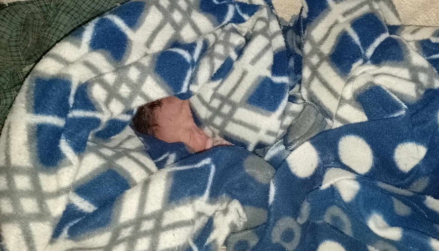 सिरहामा झाडीभित्र नवजात शिशुको शव फेला