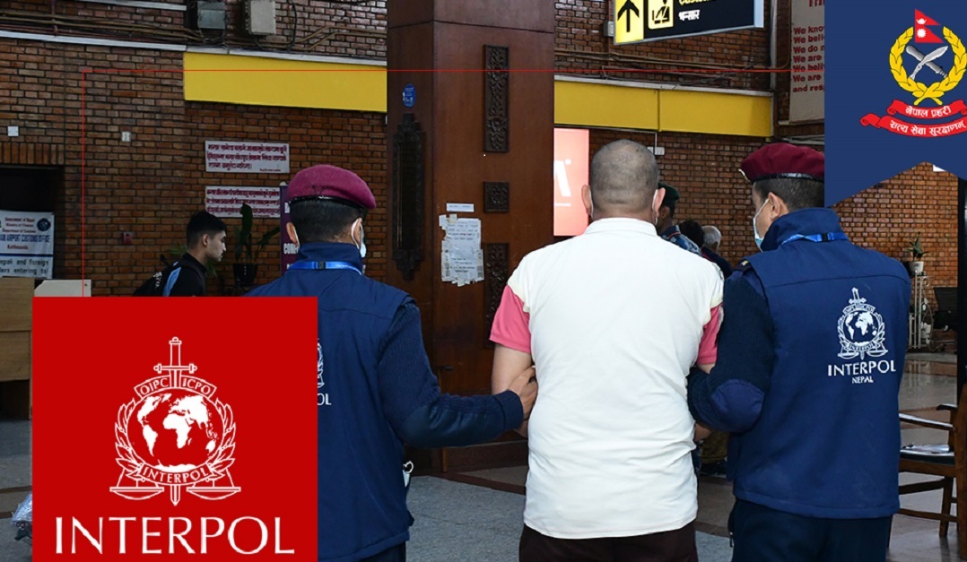 इन्टरपोलबाट रेड नोटिस जारी भएका फरार व्यक्ति कुवेतबाट पक्राउ